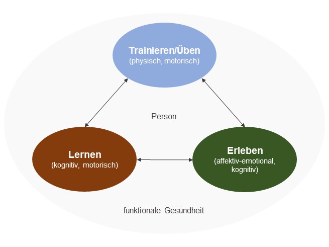 Das Bild zeigt das Aktionsmodell der Bewegungsbezogenen Gesundheitskompetenz. Es umfasst 3 Teile. Teil 1 bezieht sich auf physisches und motorisches Trainieren/Üben. Teil 2 bezieht sich auf affektiv-emotionales und kognitives Erleben und Teil 3 auf kognitives und motorisches Lernen. Die drei Teile stehen in Wechselwirkung zueinander. Im Zentrum befindet sich die Person. Da Modell befindet sich im Kontext von funktionaler Gesundheit.